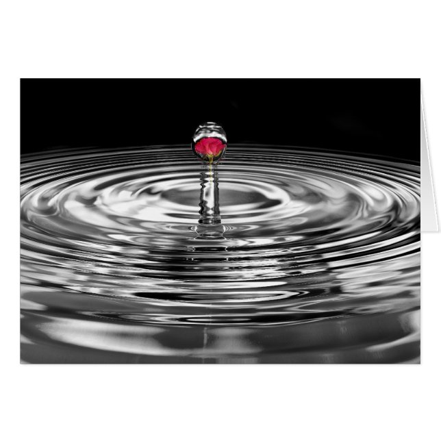 Rose ripplé (Devant horizontal)