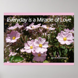 Rose Rock Rose Garden Flowers Love Poster