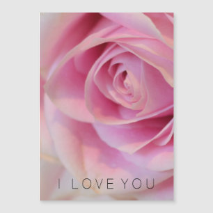 Rose rose