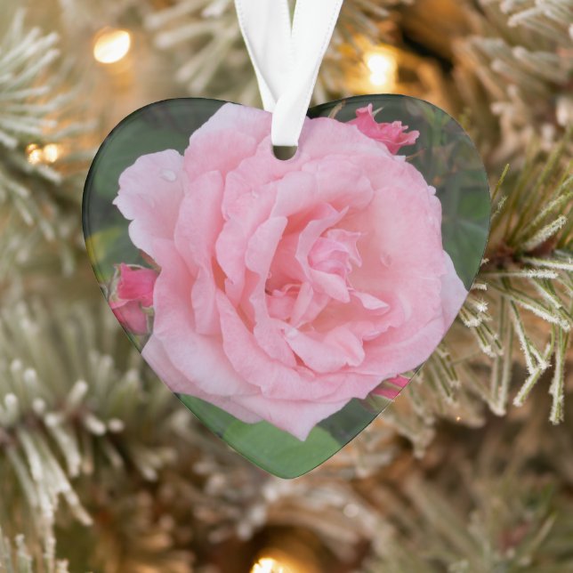 Rose Rose Acrylique Classique (Arbre)