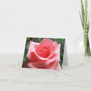 Rose rose avec carte de note Dew