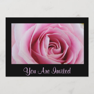 Rose rose Dans Les Invitations De La Pluie
