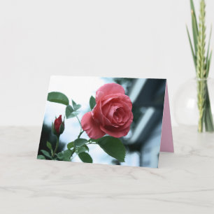 Rose rose en fleurs Bonne carte de fête des mères