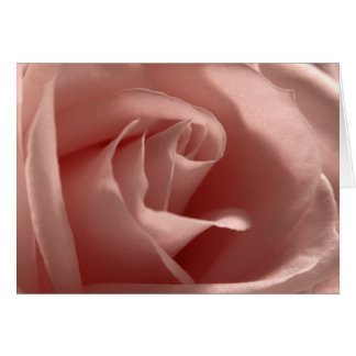 Rose rose pâle