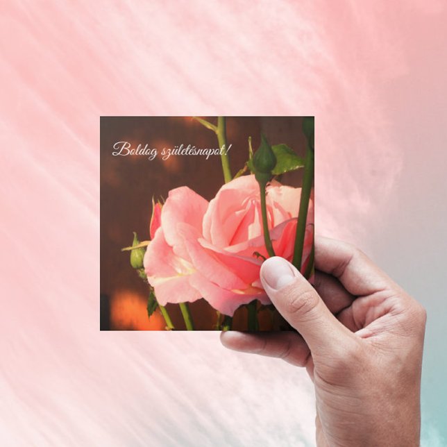 Rose rose photo - anniversaire hongrois (Créateur téléchargé)