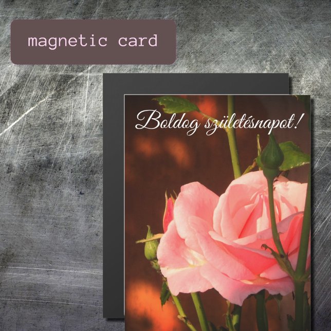 Rose rose photo - anniversaire hongrois (Créateur téléchargé)