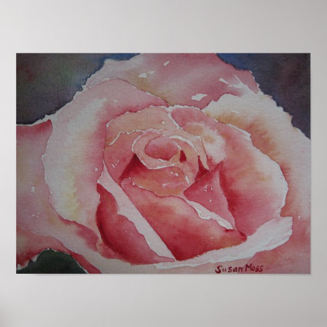 Rose rose POSTER (Devant)