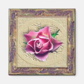 Rose rose rose dans le cadre de toile aimant