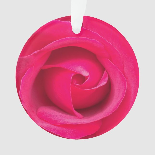 Rose rose rouge romantique (devant)