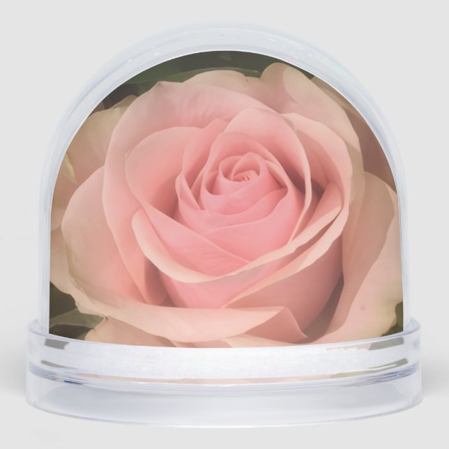 Rose Rose Snow Globe (Avant)