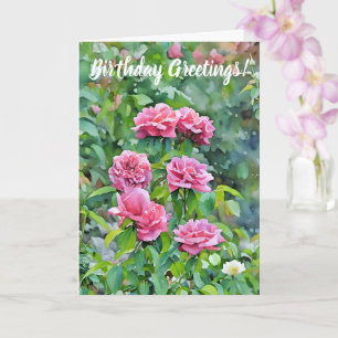 Rose Roses Fleur Jardin Art Carte Anniversaire