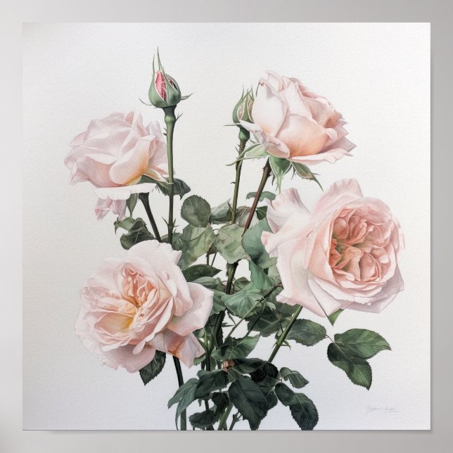 Rose Roses Flower Art Imprimer Poster (Devant)