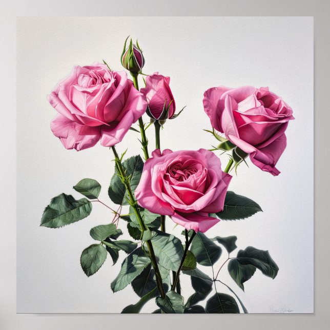 Rose Roses Flower Art Imprimer Poster (Devant)