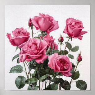 Rose Roses Flower Art Imprimer Poster