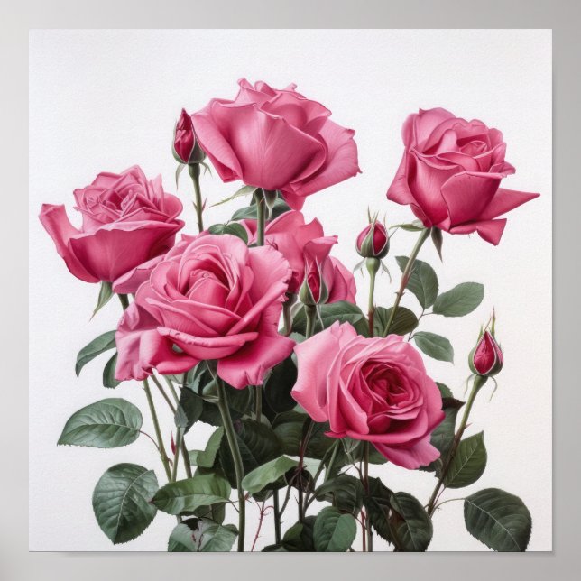 Rose Roses Flower Art Imprimer Poster (Devant)
