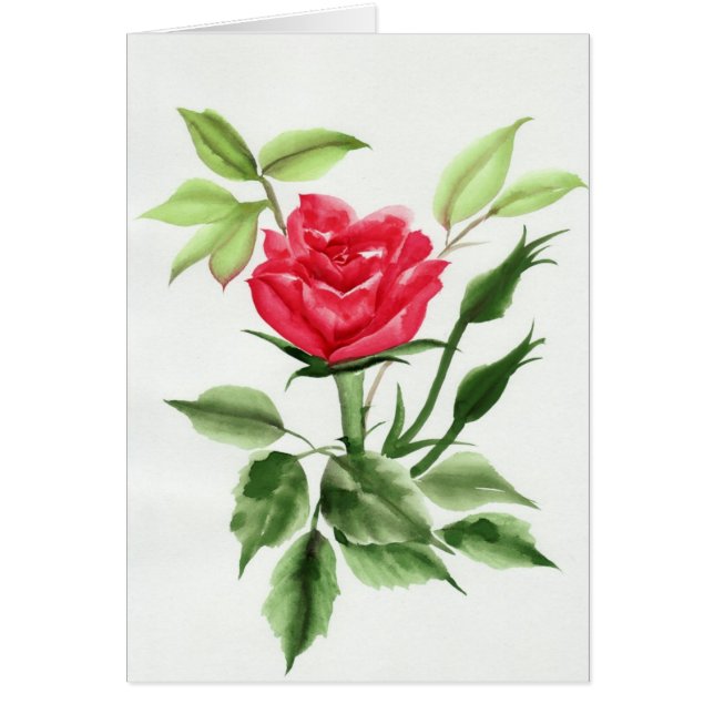 Rose rouge (Devant)