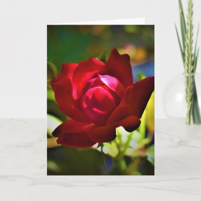 Rose rouge, carte (Devant)