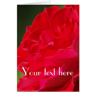 Rose rouge - Carte