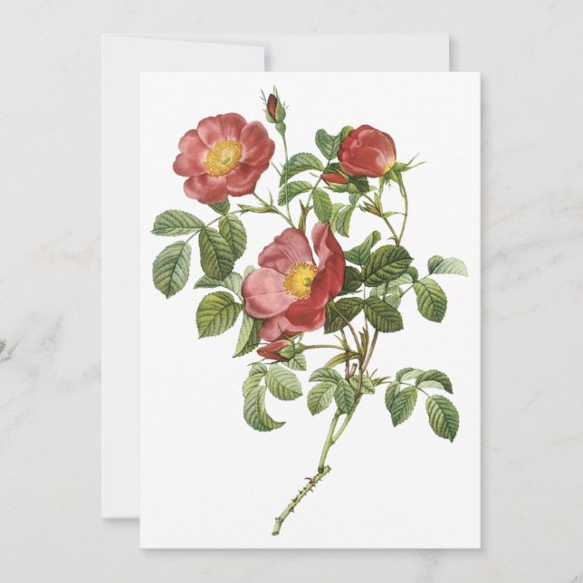 Rose Rouge d'Amour par Redoute Invitation (Devant)