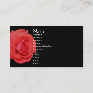 Rose rouge en fleurs Carte de visite