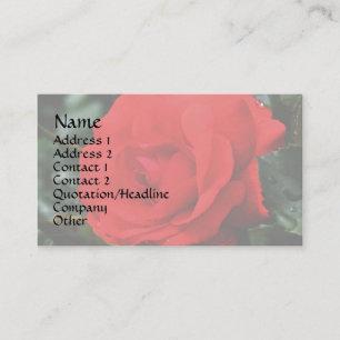 Rose rouge en fleurs Carte de visite floral
