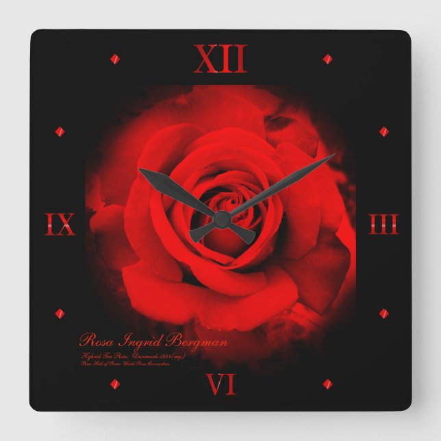 Rose rouge : Horloge murale en acrylique (Recto)