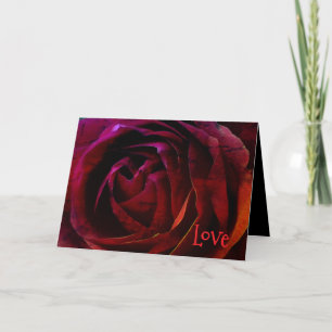*'Rose Rouge' - La carte Love Does