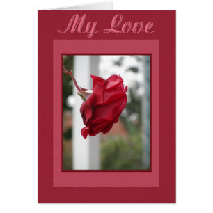Rose rouge Mon amour