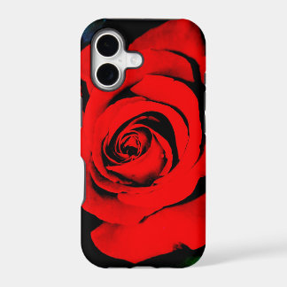 Rose rouge profonde