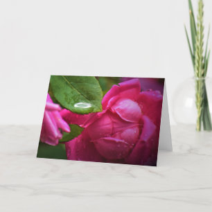 Rose rouge & Raindrops, carte