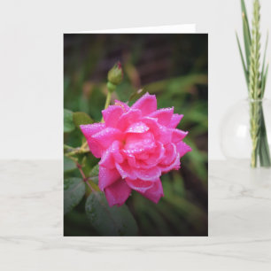 Rose rouge & Raindrops, carte
