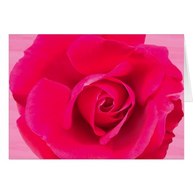 Rose rouge romantique v2 (Devant horizontal)