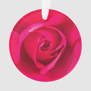 Rose rouge romantique v2