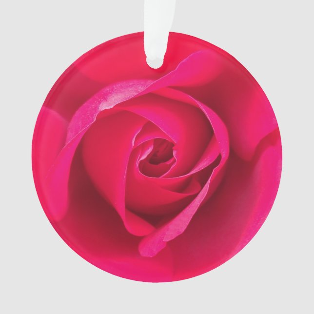 Rose rouge rose romantique v2 (devant)