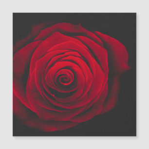 Rose rouge sur effet vintage arrière - plan noir