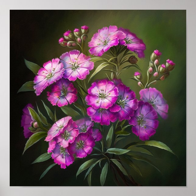 Rose Sweet William Flower Art Imprimer Poster (Devant)