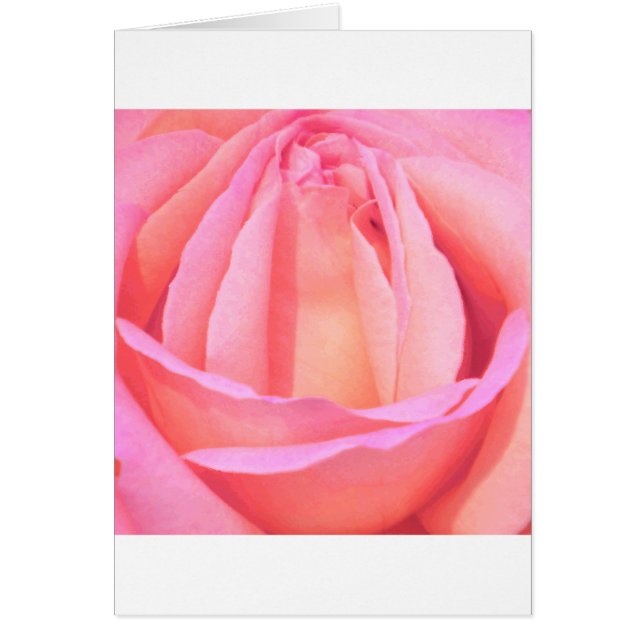 Rose unique_ (Devant)
