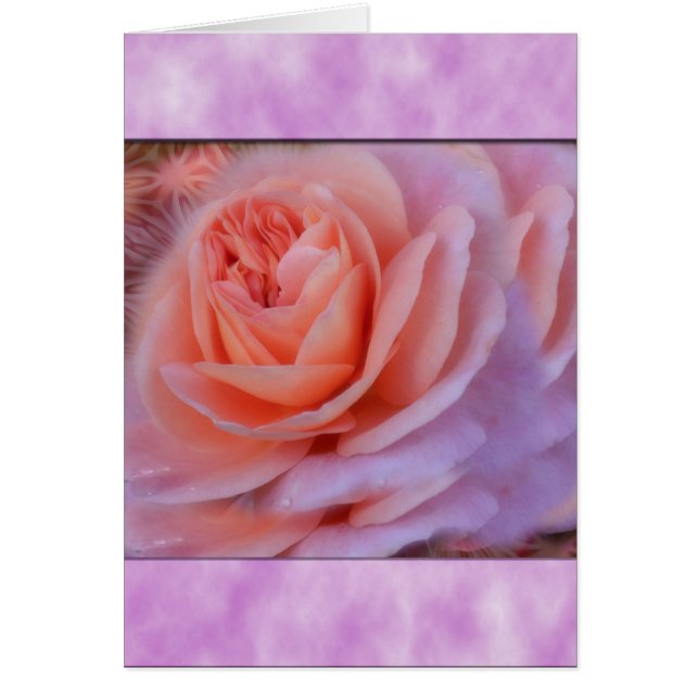 Rose unique (Devant)