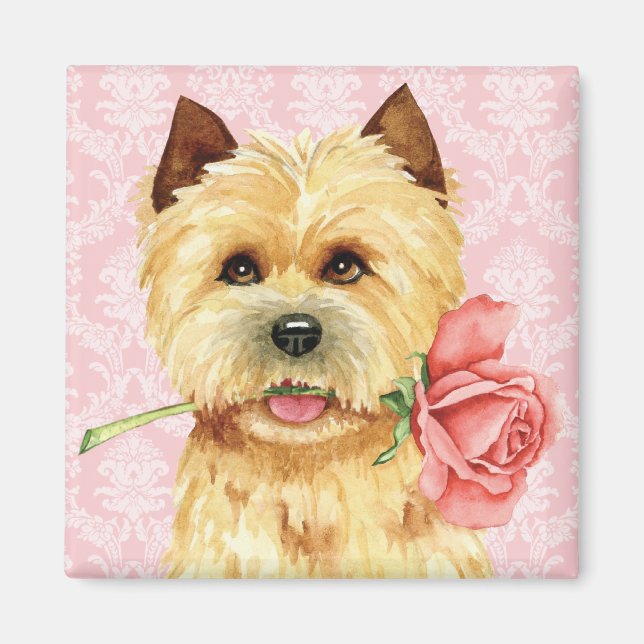 Rose Valentine Cairn Terrier Magnet (Devant)