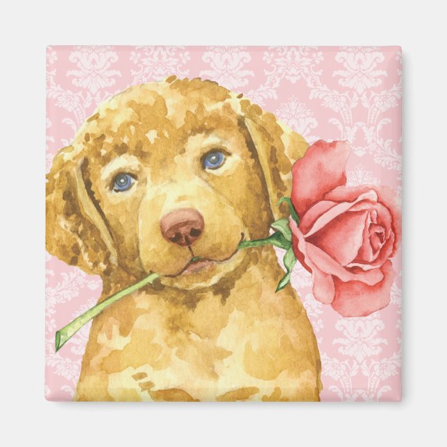 Rose Valentine Chesapeake Bay Retriever Magnet (Devant)