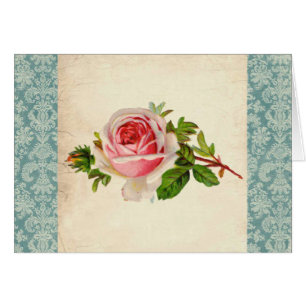 Rose victorien et damassé