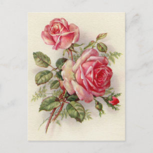 Rose vintage fleuri élégant carte postale