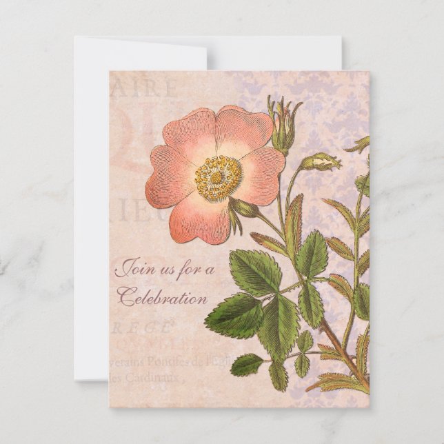 Rose vintage Invitation de fête d'anniversaire (Devant)