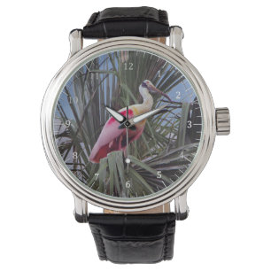 Roseate Spoonbill montre