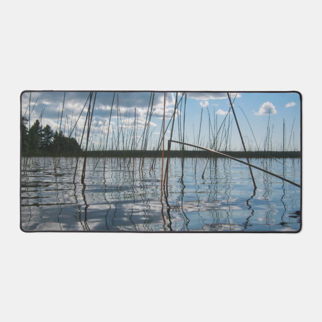 Roseaux et reflets sur le lac Rice (Recto)
