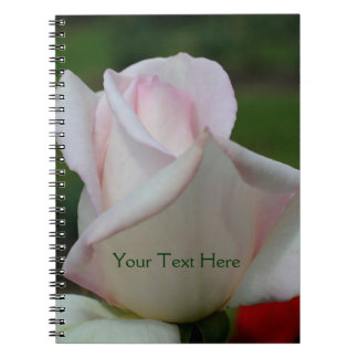 Rosebud rose pâle Carnet naturel