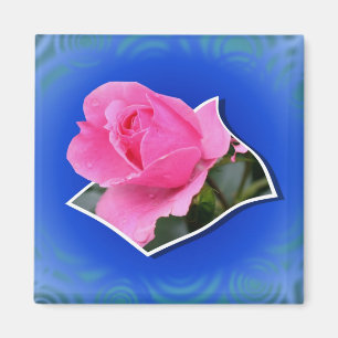 Rosebud rose Pop out Floral Magnet