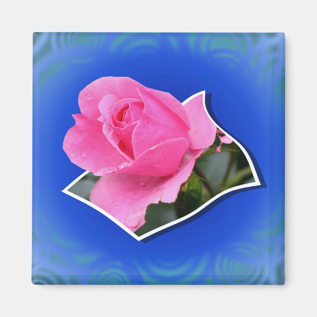 Rosebud rose Pop out Floral Magnet (Devant)