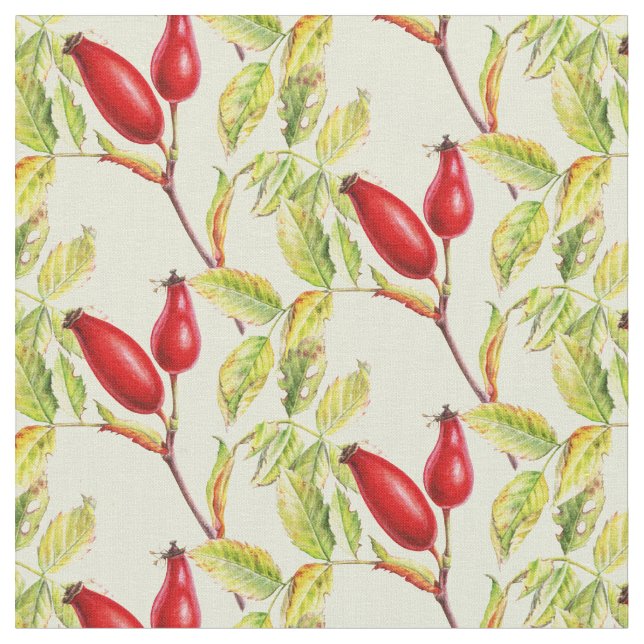 Rosehip botanique aquarelle tissu de fruits (Fermer)