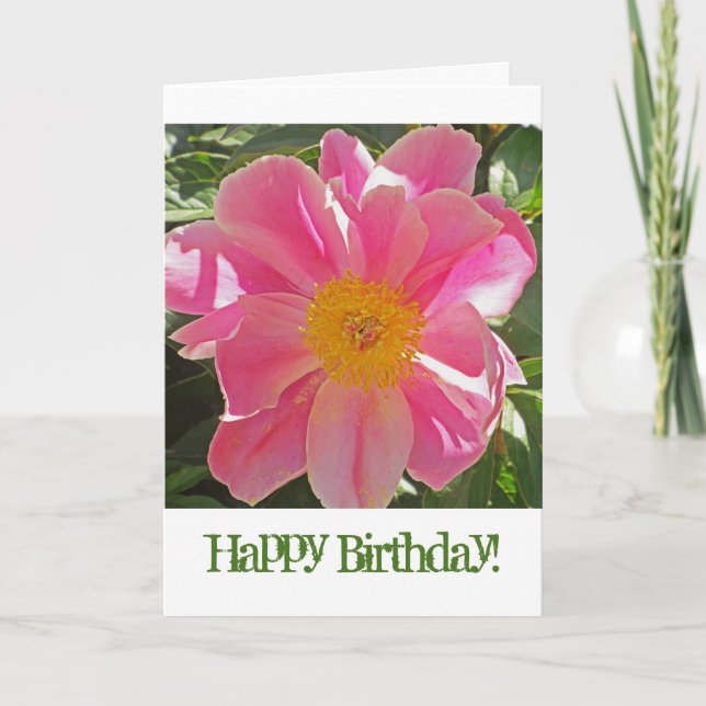 ROSELETTE ROSE SUNLIT PEONY / CARTE D'ANNIVERSAIRE (Devant)